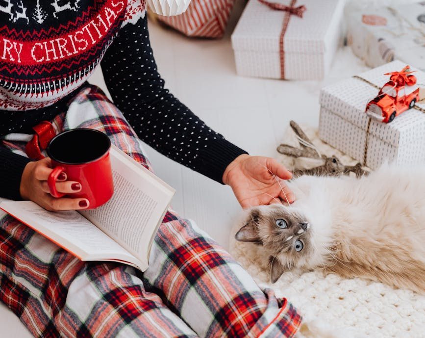 Calm Christmmas moment with cozy pyjamas, cat and warm drink