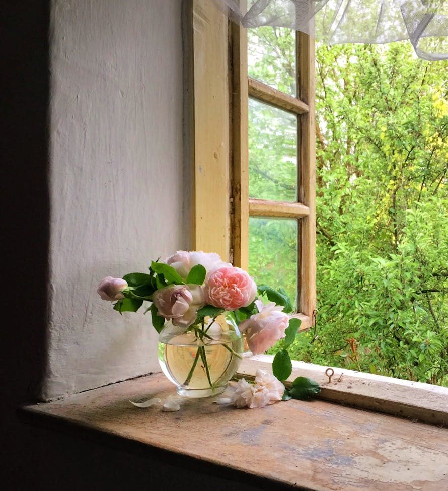 flowers on a window - slow living moments