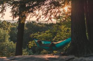 a hedgehog slow living day with a person lying on hammock between trees at daytime