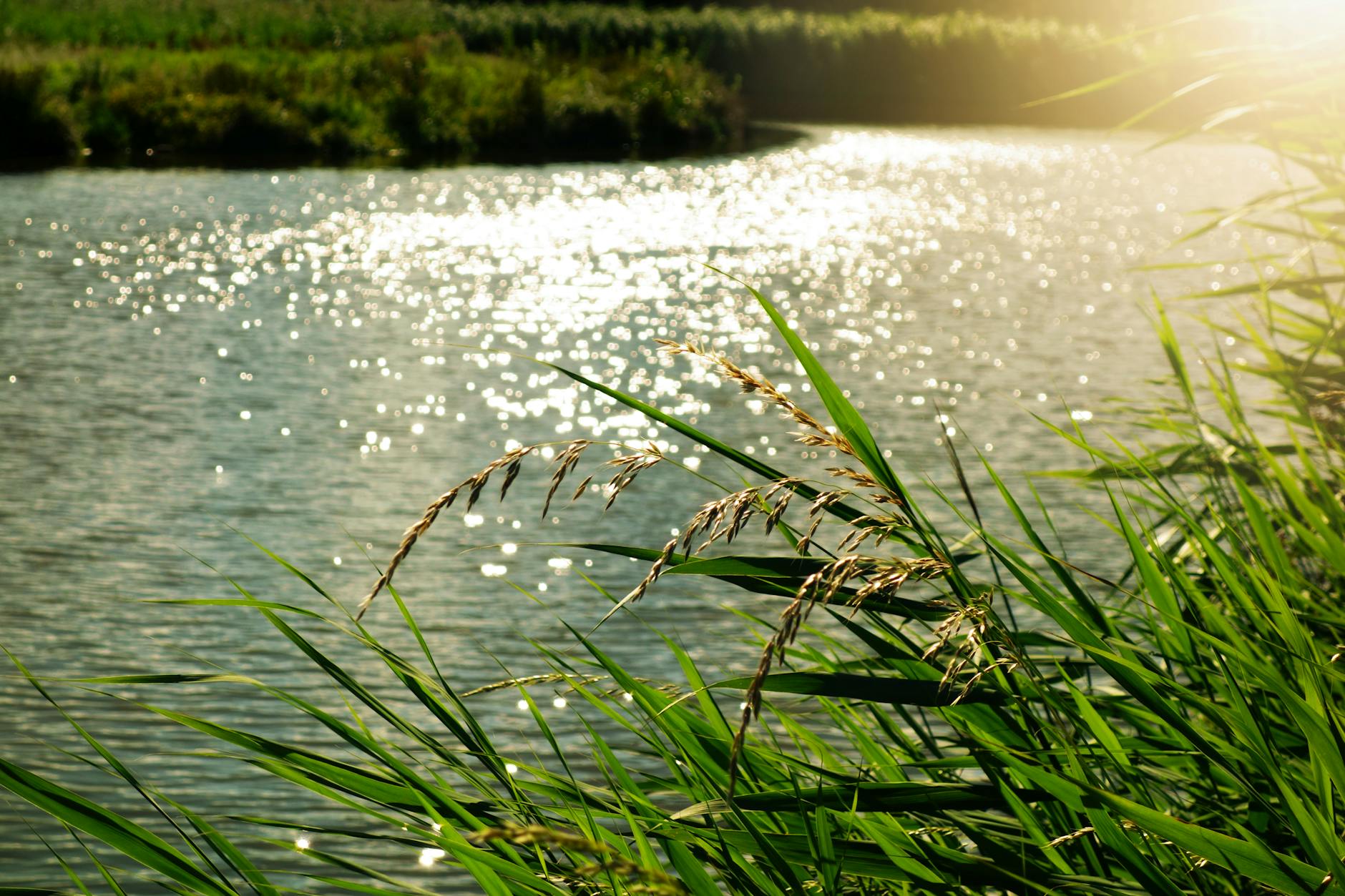 mindful moments by the water, noticing stillness.